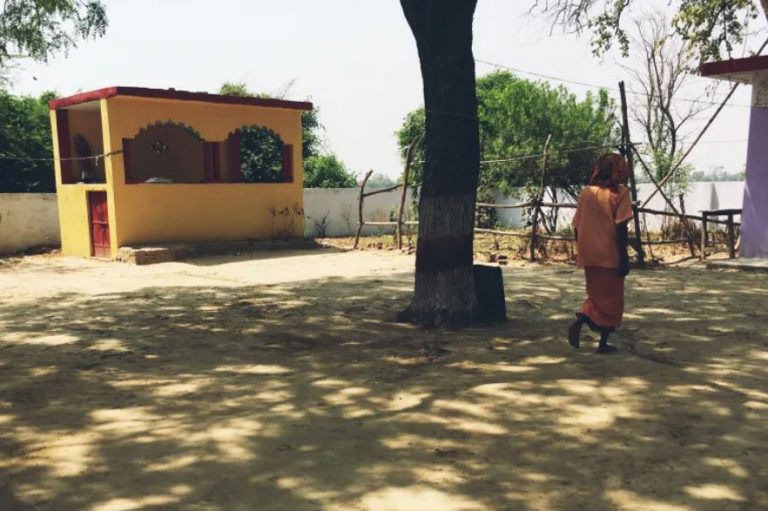 Three Sadhus Hacked To Death In Temple For Opposing Cow Slaughter